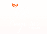 Orange Tree Films